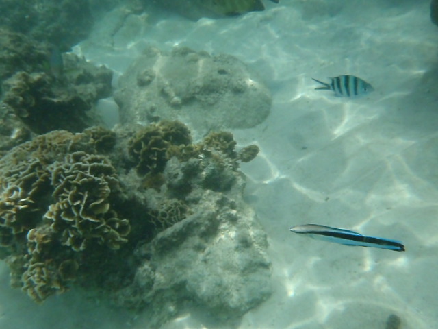 Snorkelling Aow Leuk bay