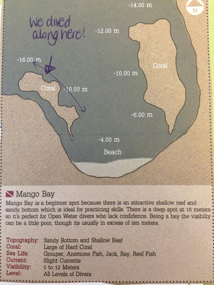 Mango bay dive site