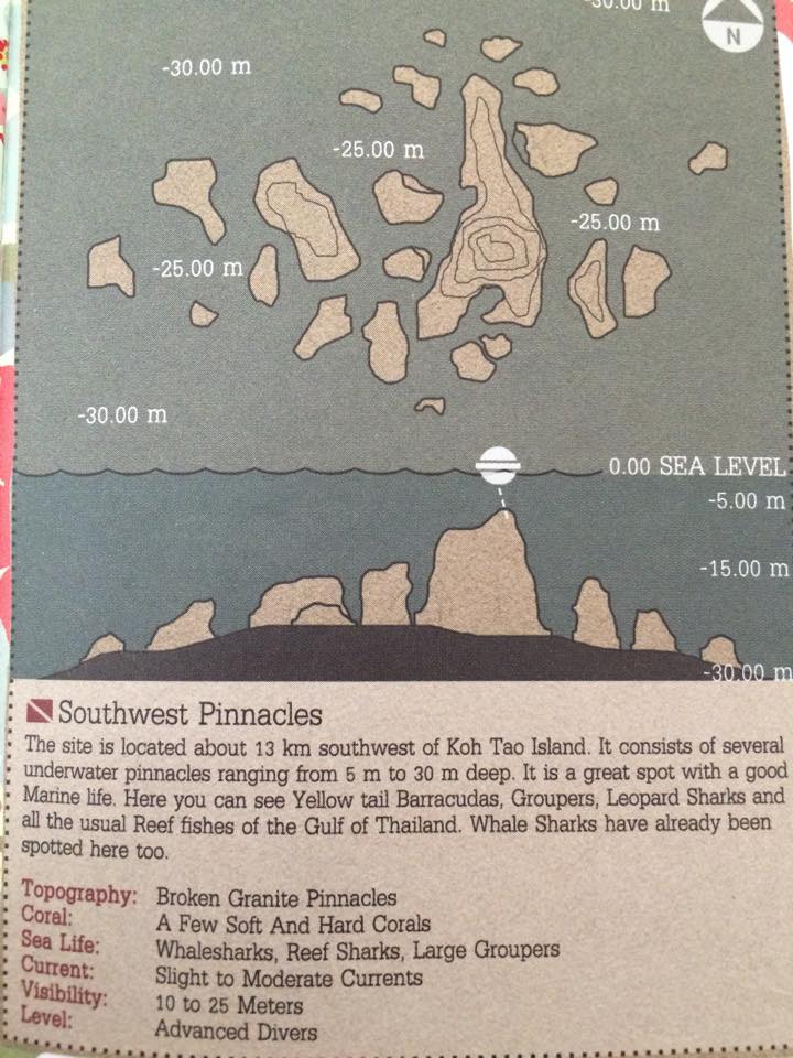 SW pinnacles dive site
