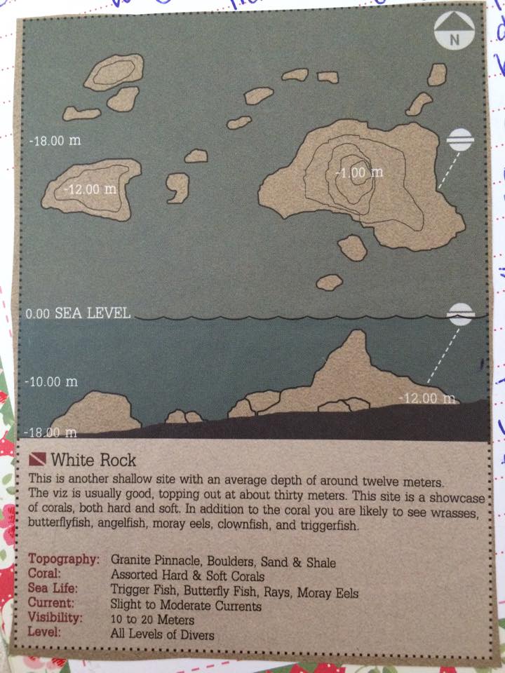 White rock dive site