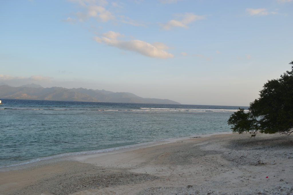Exploring Gili T
