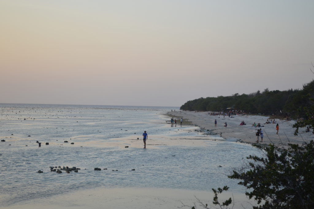 Exploring Gili T